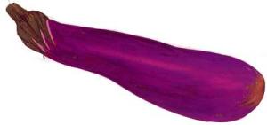 EGGPLANT-Ngai-gwa
